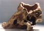 SCULTURA_%20mente_1_pulsante.jpg